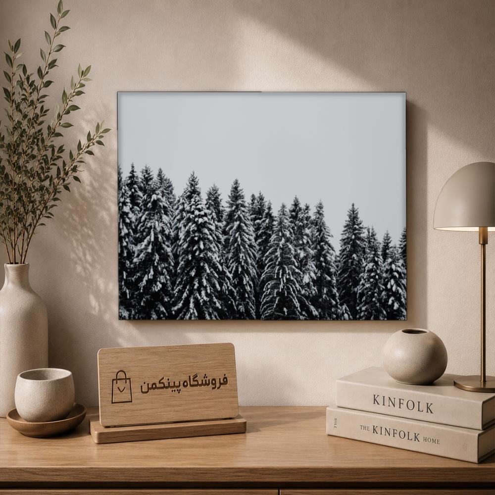 تابلو شاسی پینکمن طرح تکرنگ کریسمس - Monochrome Christmas کد Jm 17