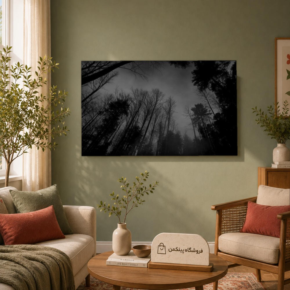 تابلو شاسی پینکمن طرح تکرنگ چشمانداز - Monochrome Landscape کد Jm 5