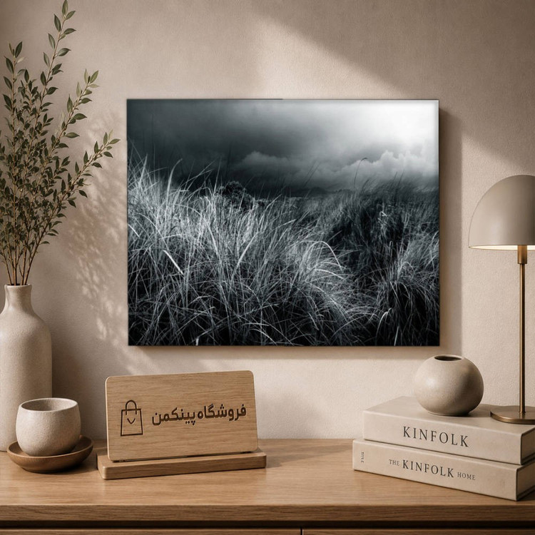 تابلو شاسی پینکمن طرح تکرنگ چشمانداز - Monochrome Landscape کد Jm 29