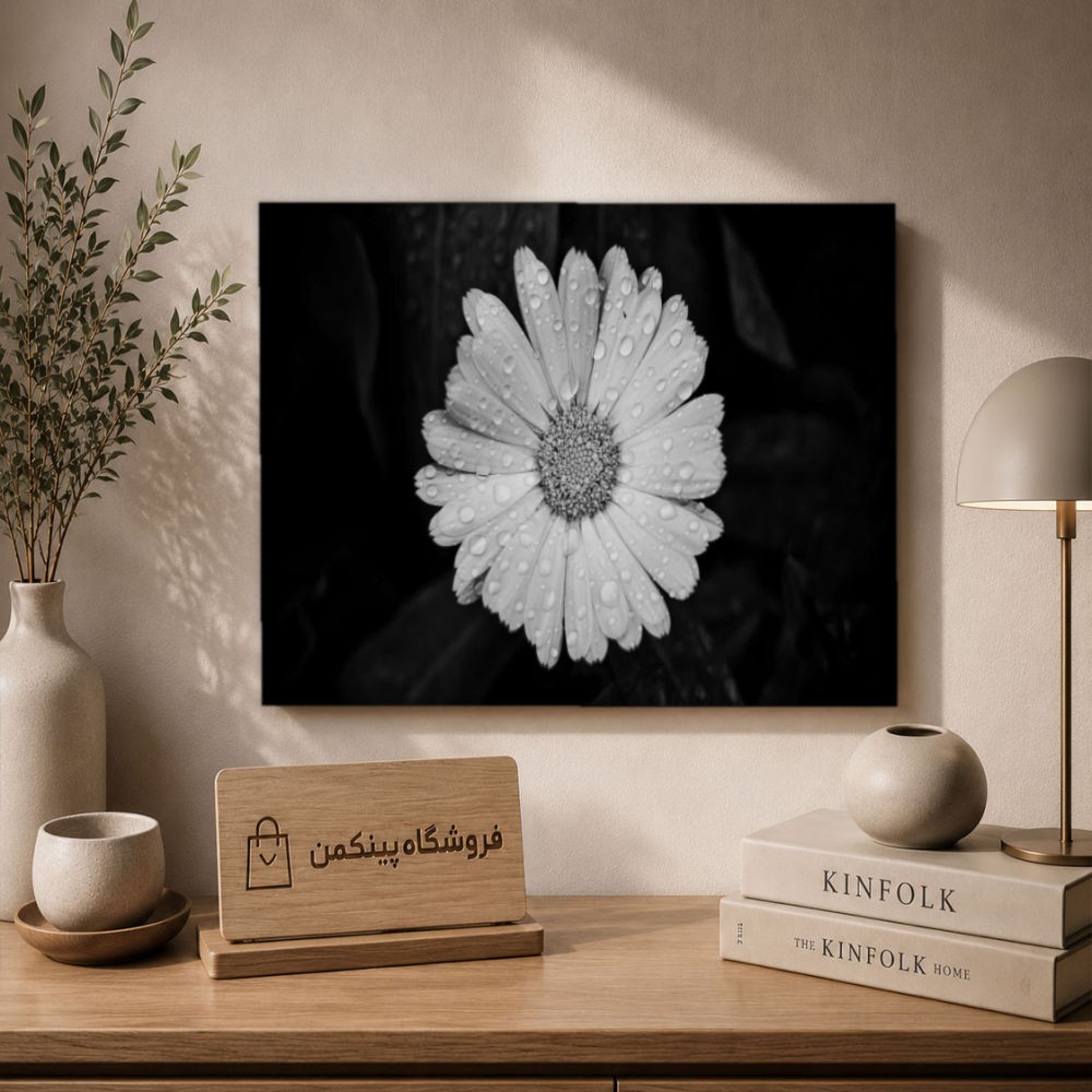 تابلو شاسی پینکمن طرح تکرنگ استتیک - Monochrome Aesthetic کد Jm64