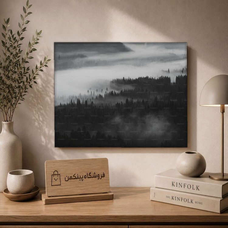 تابلو شاسی پینکمن طرح تکرنگ استتیک - Monochrome Aesthetic کد Jm59