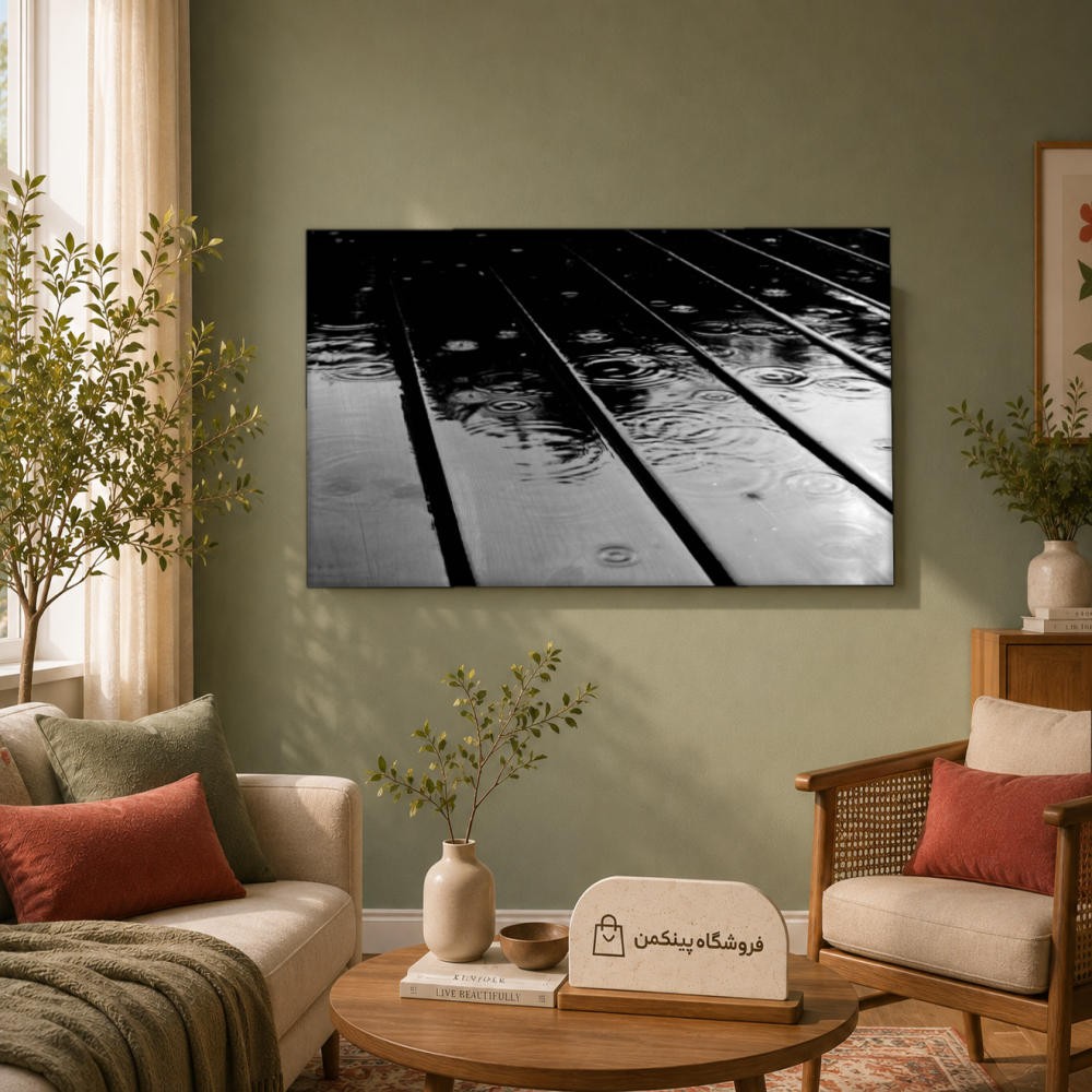 تابلو شاسی پینکمن طرح تکرنگ استتیک - Monochrome Aesthetic کد Jm 9