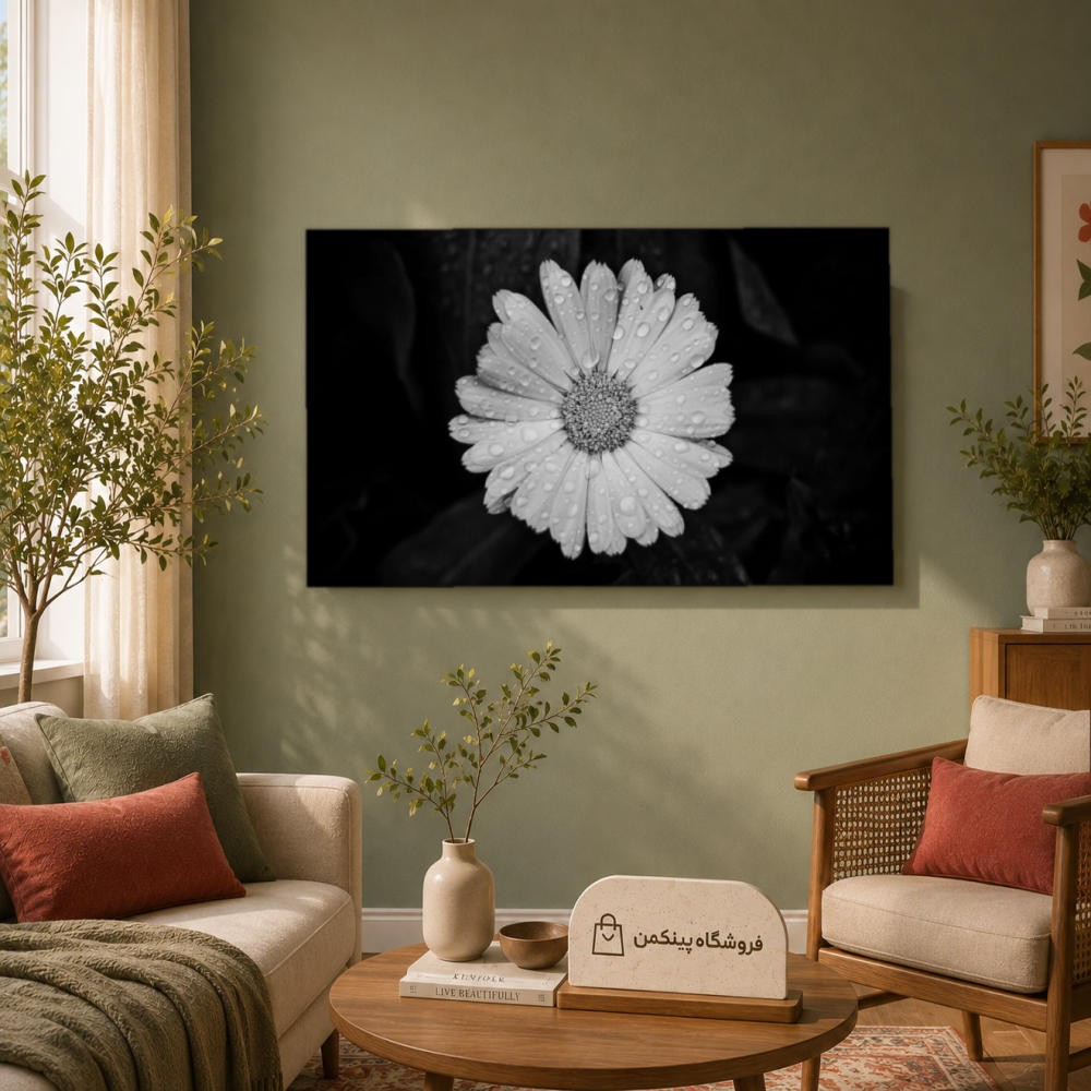 تابلو شاسی پینکمن طرح تکرنگ استتیک - Monochrome Aesthetic کد Jm 31