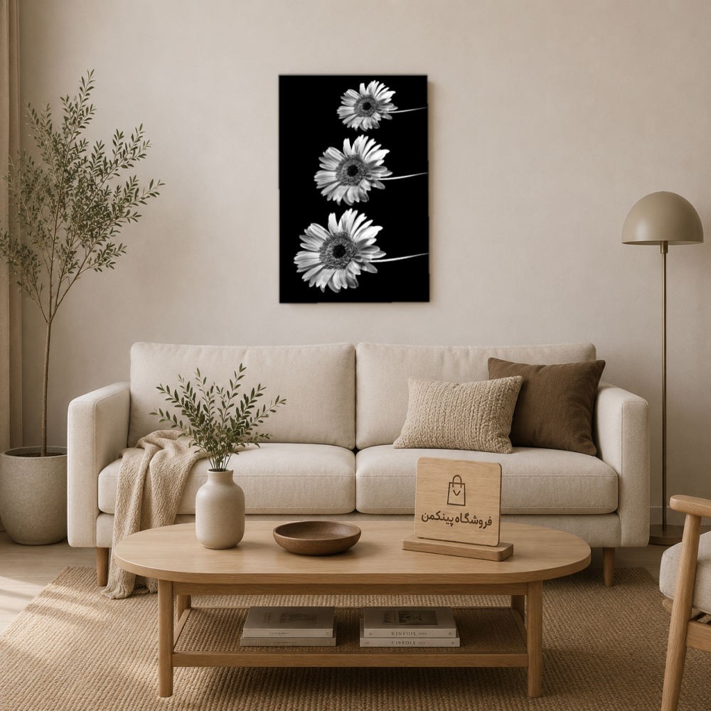 تابلو شاسی پینکمن طرح تکرنگ استتیک - Monochrome Aesthetic کد Jm 14