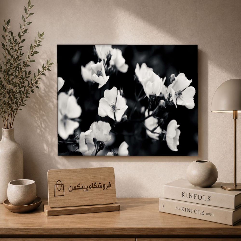 تابلو شاسی پینکمن طرح تکرنگ استتیک - Monochrome Aesthetic کد Jm 13
