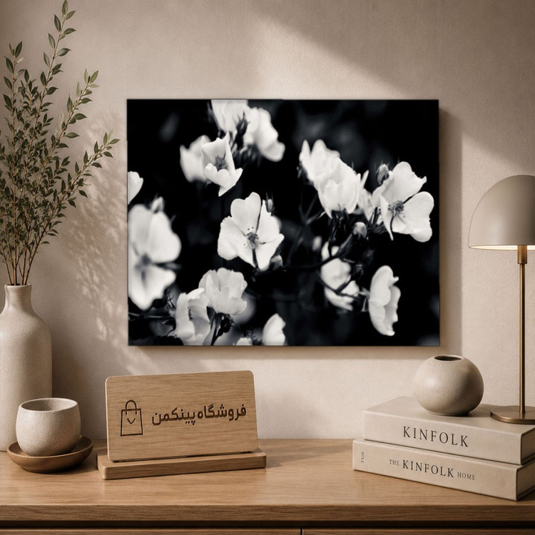 تابلو شاسی پینکمن طرح تکرنگ استتیک - Monochrome Aesthetic کد Jm 13