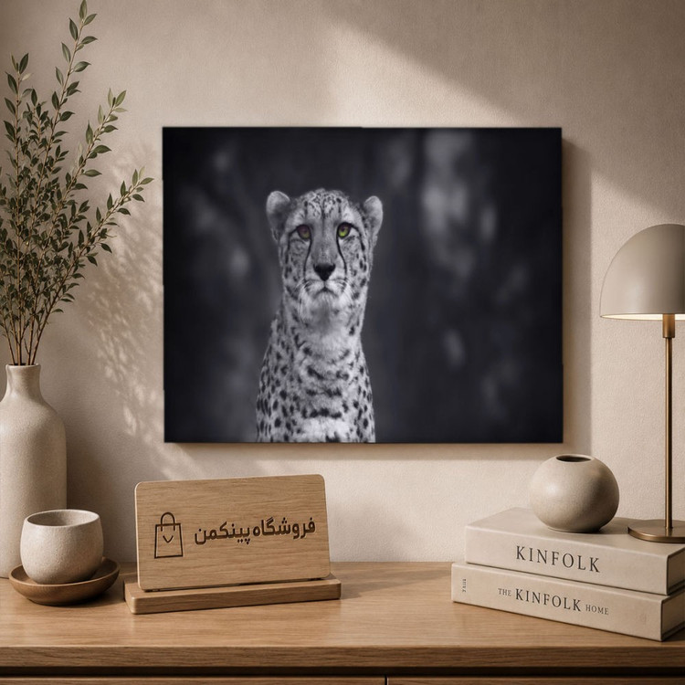 تابلو شاسی پینکمن طرح تکرنگ - 4k Monochrome کد Jm 2