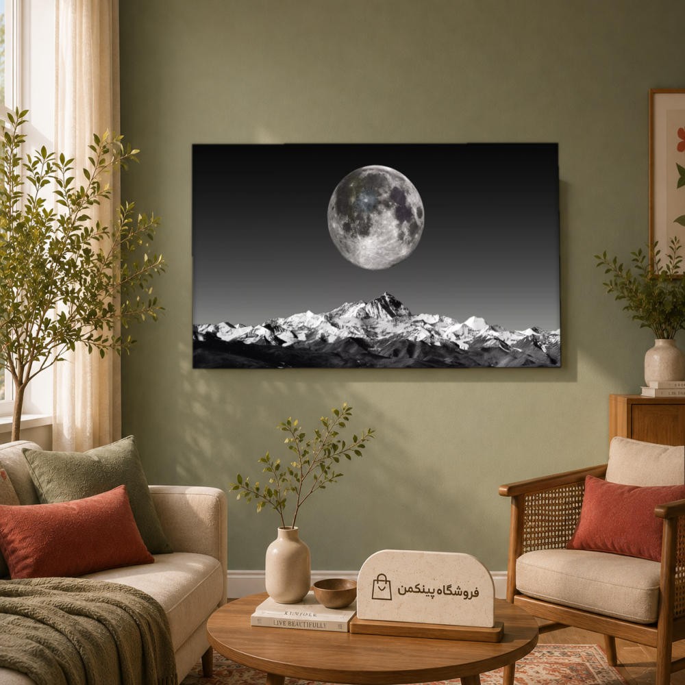 تابلو شاسی پینکمن طرح تکرنگ - 4k Monochrome کد Jm 14