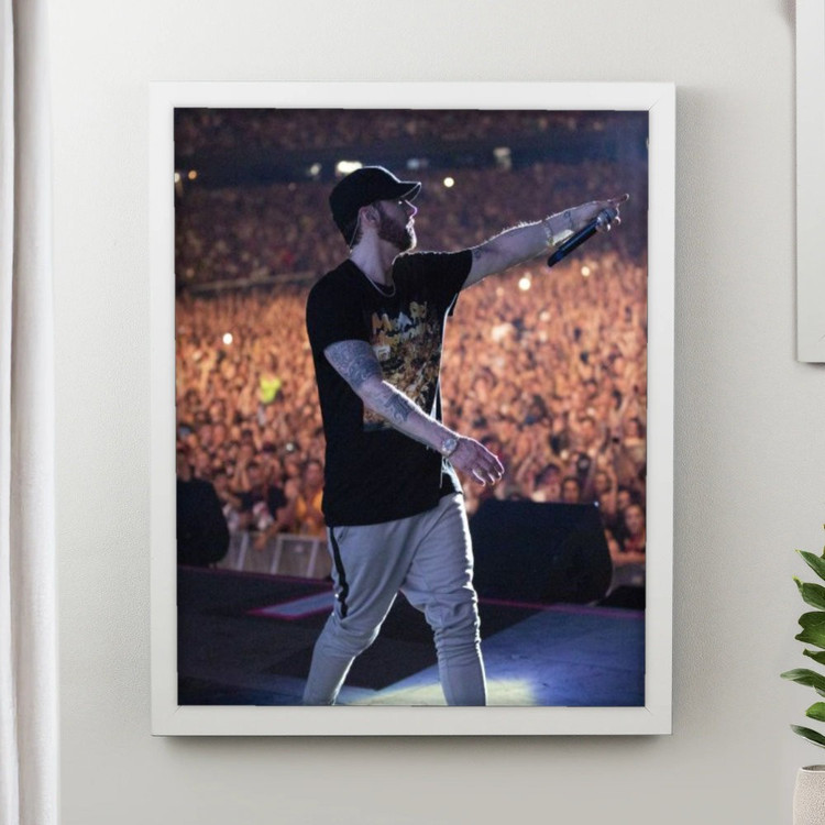 تابلو پینکمن طرح موسیقی امینم کنسرت Eminem Concert 20 Jm