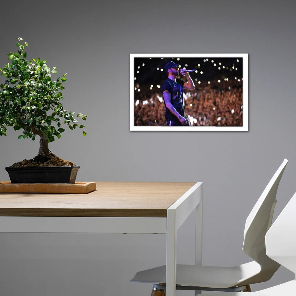 تابلو پینکمن طرح موسیقی امینم کنسرت Eminem Concert 11 Jm