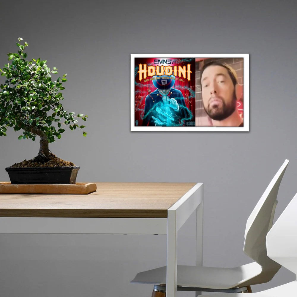 تابلو پینکمن طرح موسیقی امینم کاور آلبومها Eminem Album Covers 4 Jm