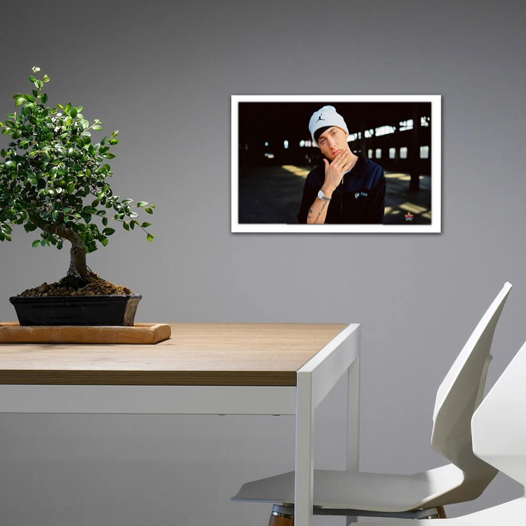 تابلو پینکمن طرح موسیقی امینم Eminem (10) 55 Jm