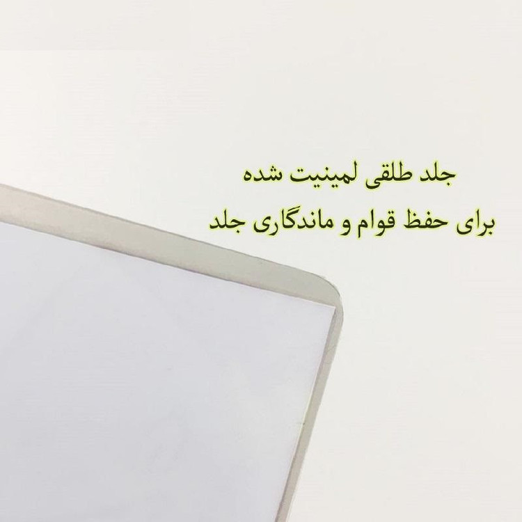 پوستر مدل انیمه سگ های ولگرد بانگو p100