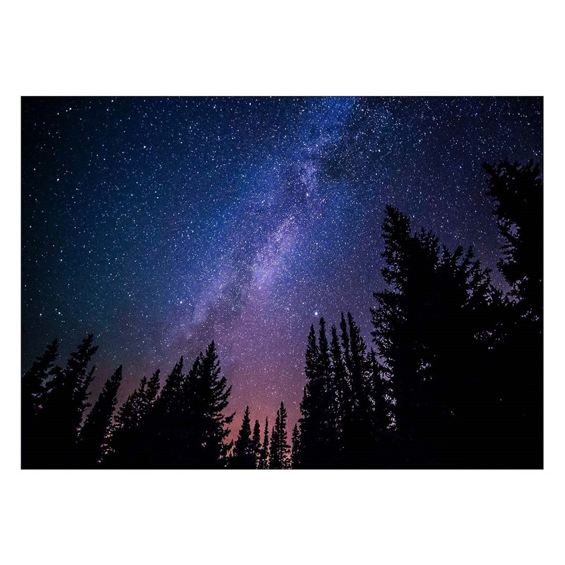 تابلو شاسی ونسونی طرح Night at Jungle سایز 30×40 سانتی متر