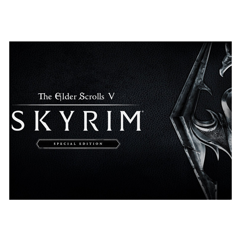 پوستر مدل بازی skyrim کد 2462