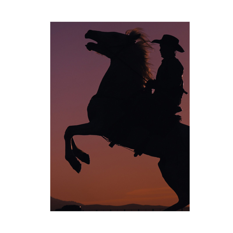 تابلو شاسی مدل Cowboy کد TSS37