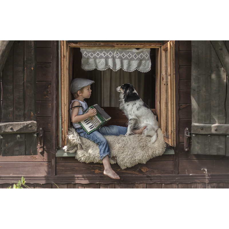 تابلو شاسی طرح زیباترین عکس های جهان-حیوانات دوست داشتنی کد 130