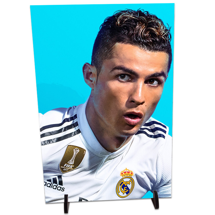 تابلو شاسی مدل رونالدو کد 448
