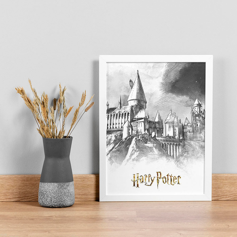تابلو صبا طرح مدل Harry Potter کد LA-G10598-2w