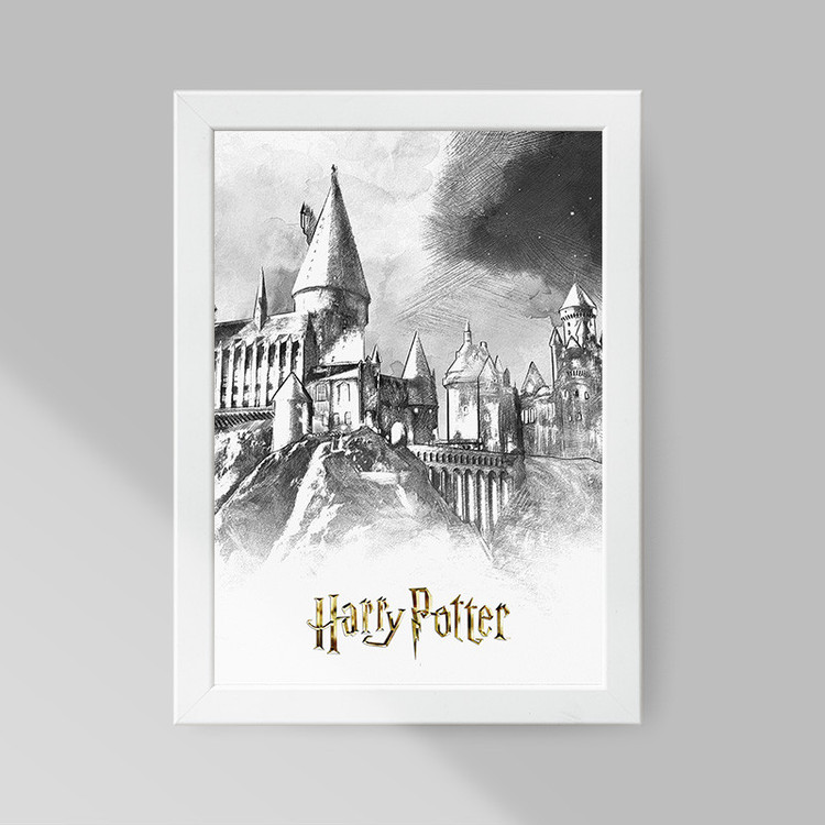 تابلو صبا طرح مدل Harry Potter کد LA-G10598-2w