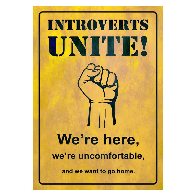 پوستر مدل Introvert